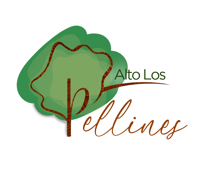 Consulting.com