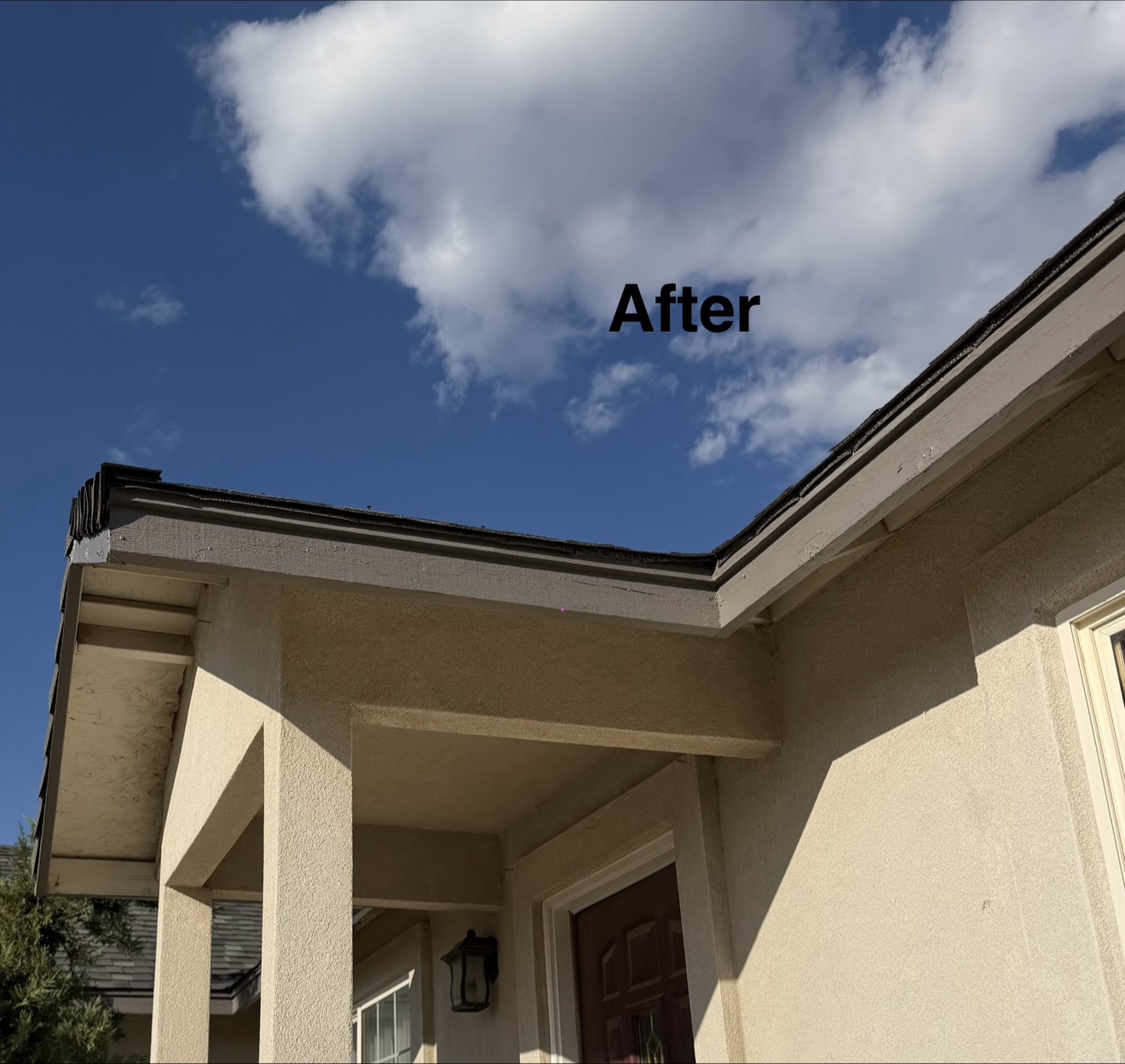 Freshly painted fascia and eave, Reno exterior repaint
