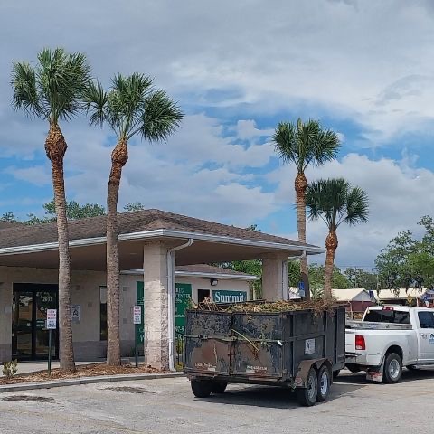 Commercial tree trimming for HOAs and businesses in Citrus, Hernando, and Sumter County