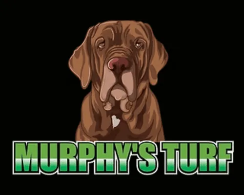 Turf Cleaning & Maintenance Walnut Creek