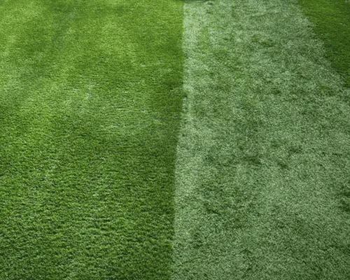  Turf Cleaning