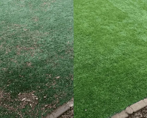 Turf Disinfecting Walnut Creek