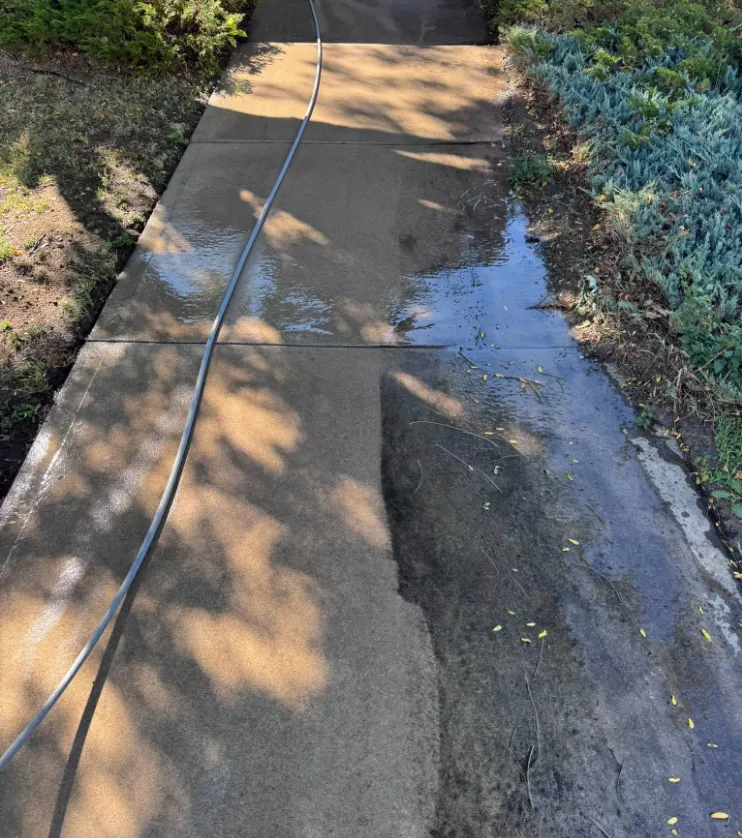 Landscape Contractor In Ventura County