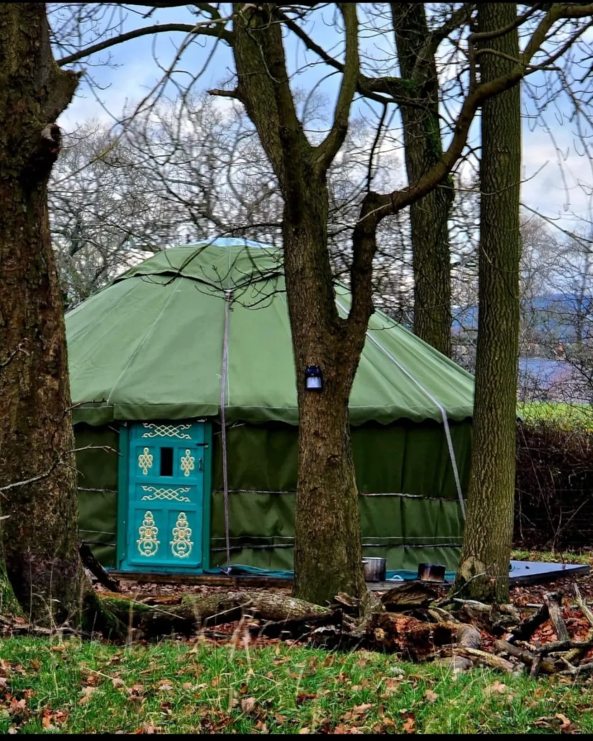 Green Yurt in a woodland