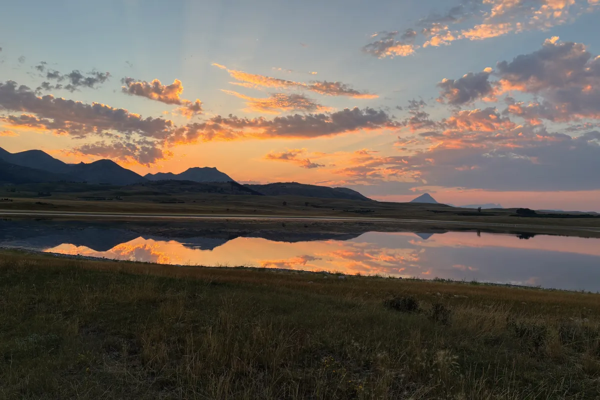 Bring the Beauty of the Natural World Home
