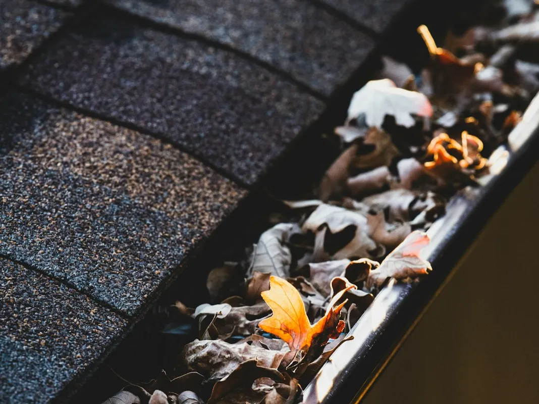 Poinciana Gutter Cleaning