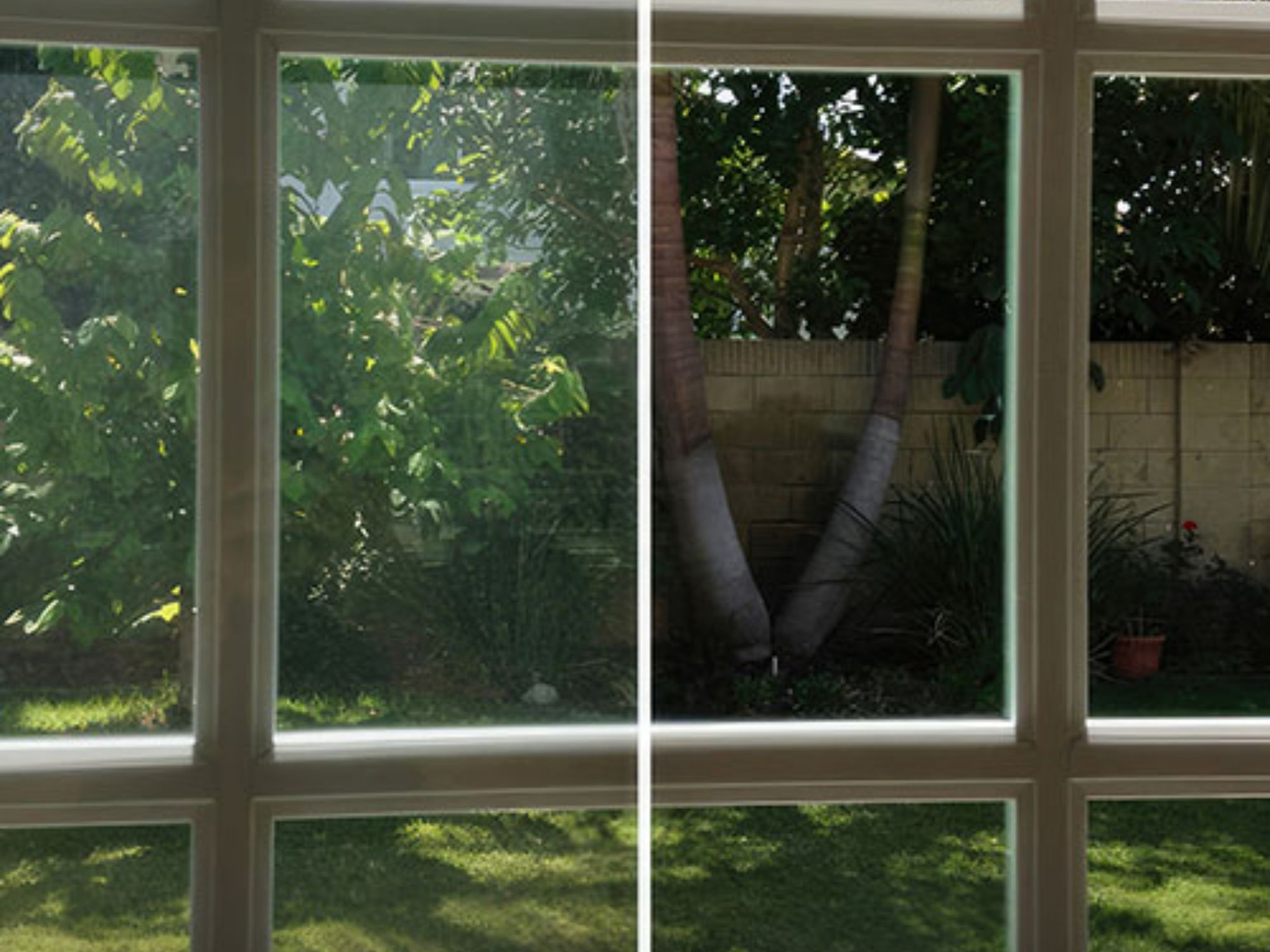 Poinciana Window Cleaning