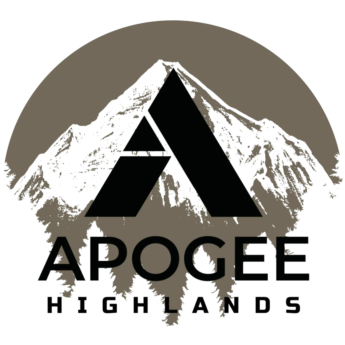 Apogee Strong - Leaders On Purpose