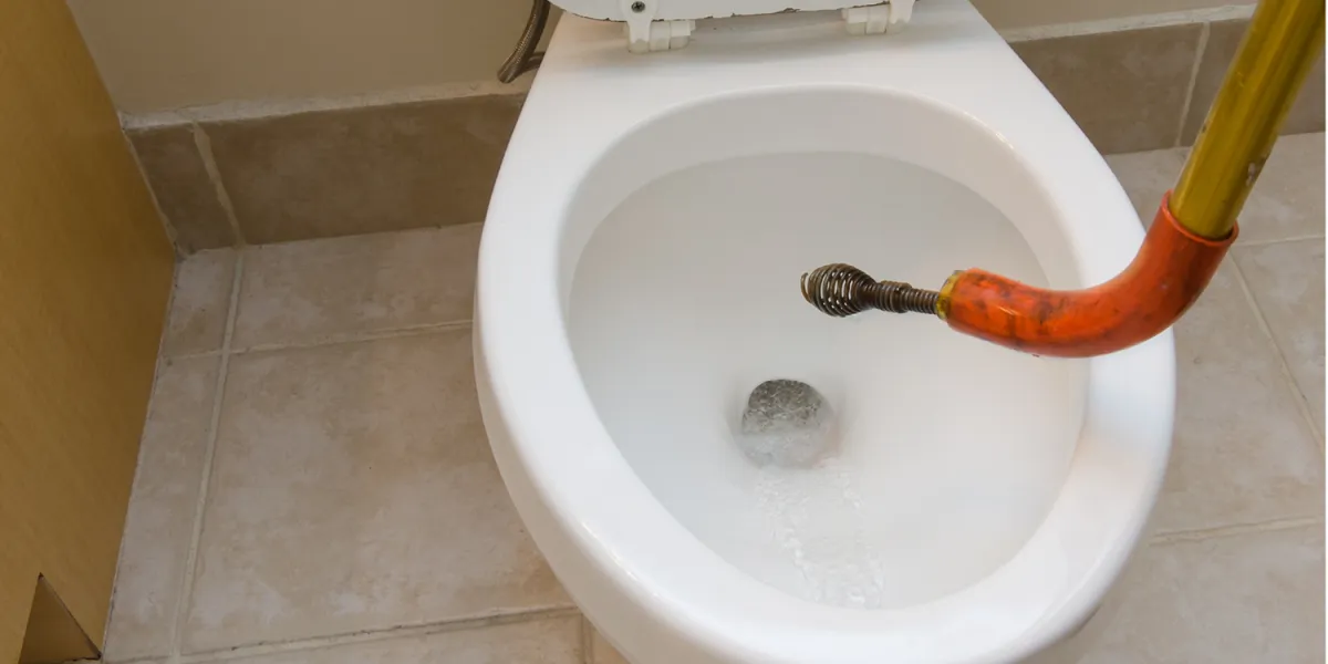 Snaking the toilet