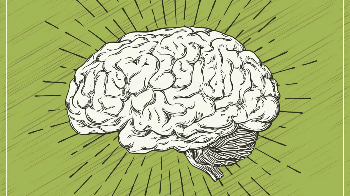 Brain