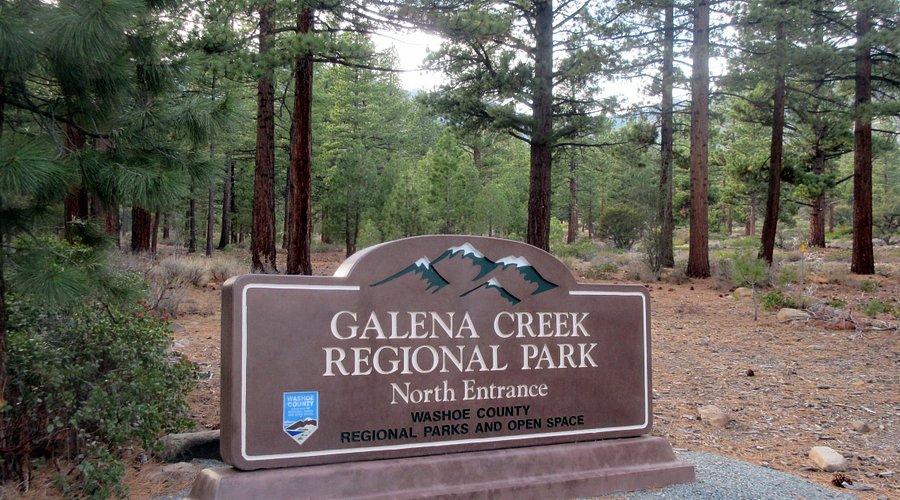 Cedar deck with snow-rated patio roof in Galena Forest, Reno