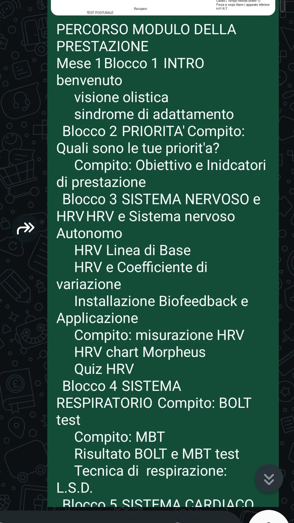 conversazione hatsapp con cliente neuroflow