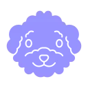 Goldendoodles are healthy and smart