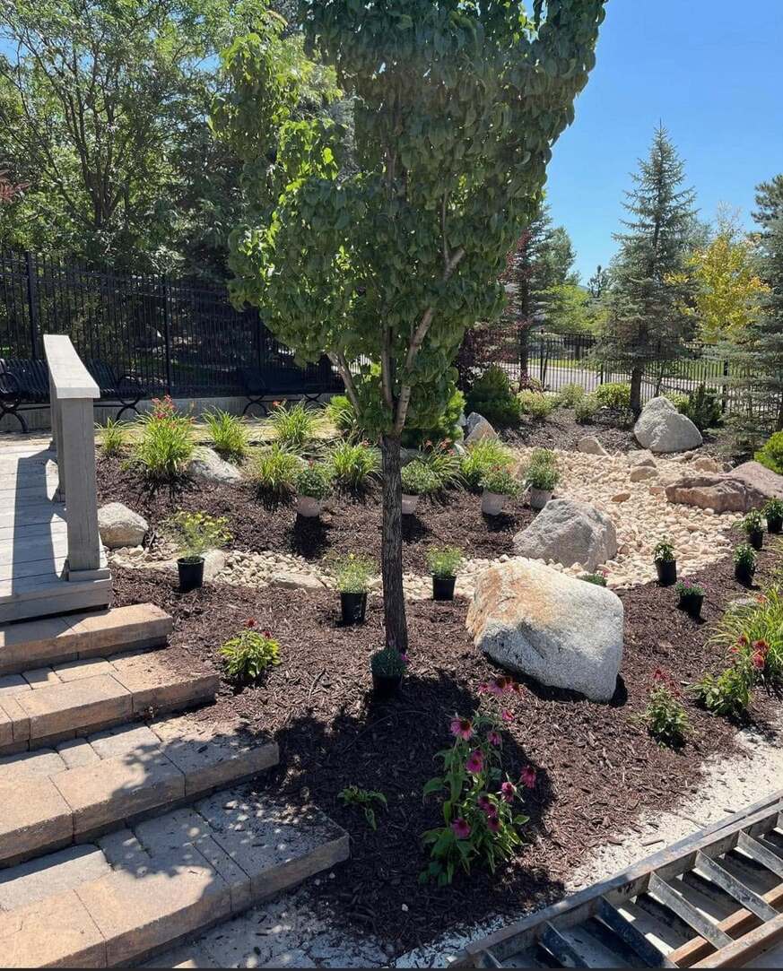 Landscape Design & Installation