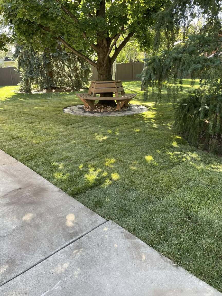 South Salt Lake Artificial Turf & Sod Installation