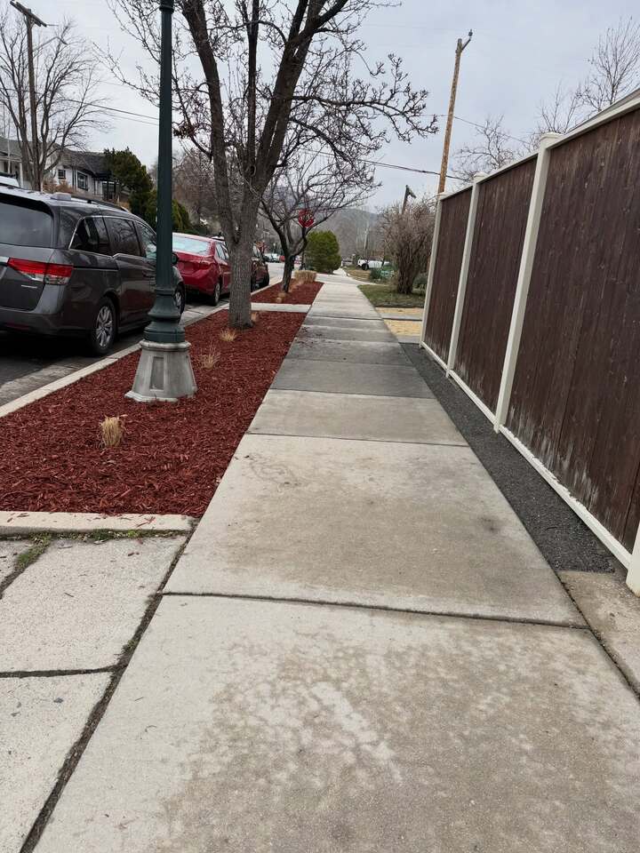 Landscape Maintenance
