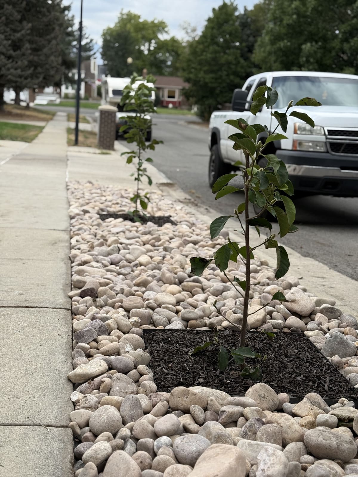 Landscape Design & Installation