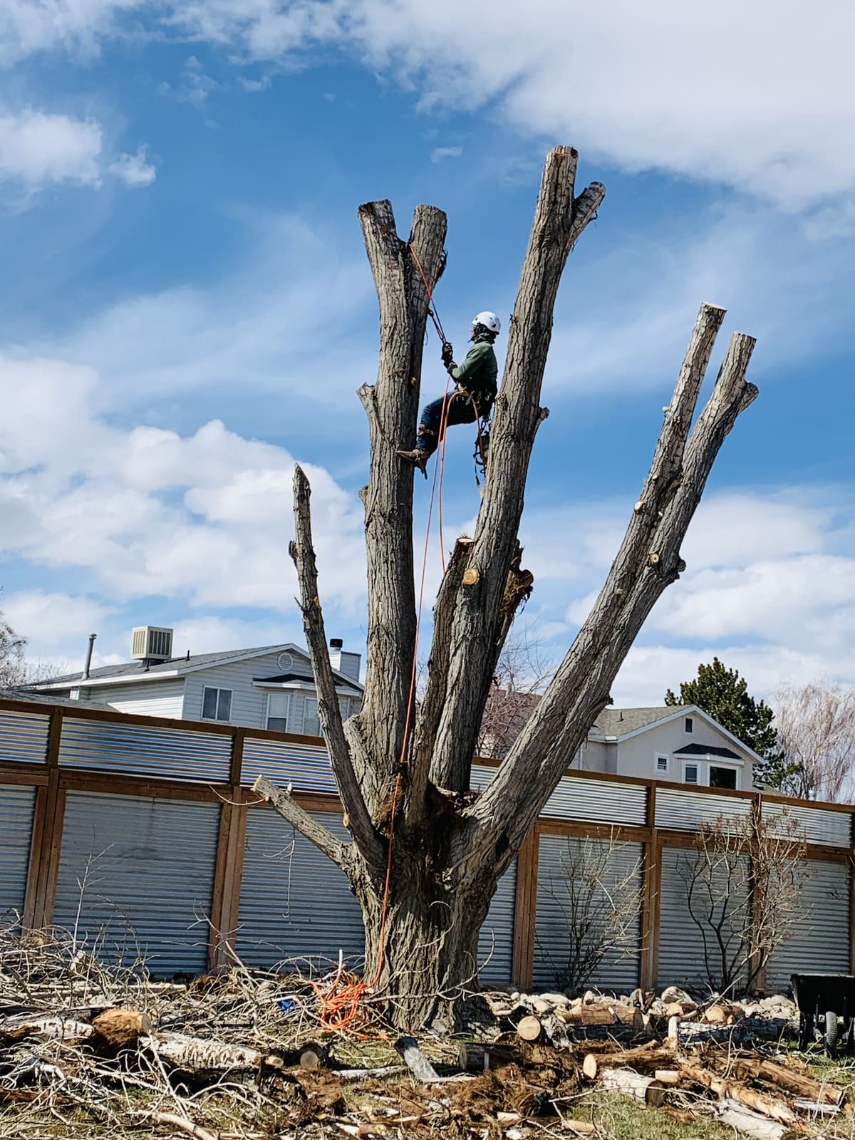 Sprinkler Installation & Repair in Salt Lake City