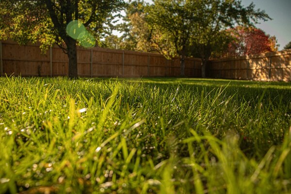  Landscape Design & Installation