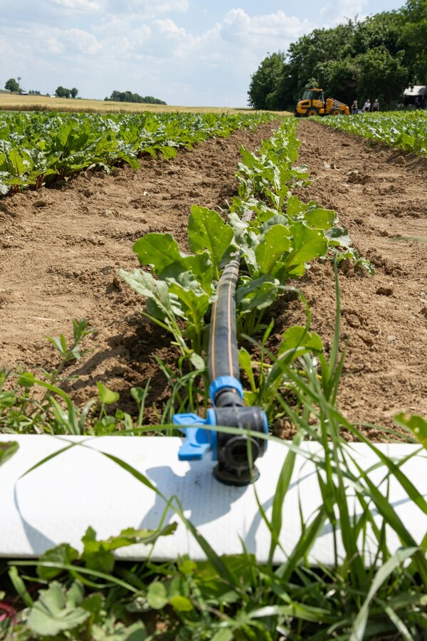 South Salt Lake Drip Irrigation