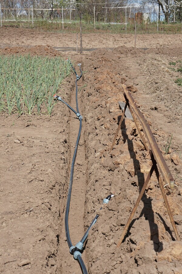 Drip Irrigation in Salt Lake City
