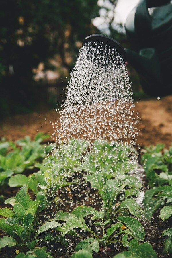 South Salt Lake Irrigation Systems Installation