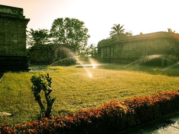 Landscape Design & Installation