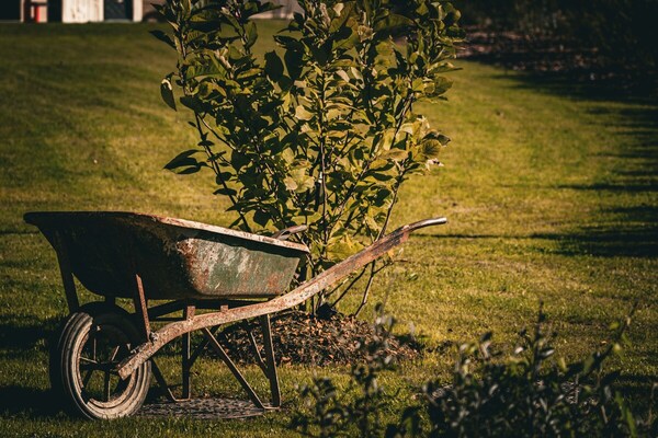  Landscape Design & Installation