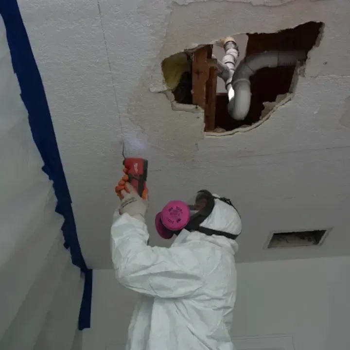 Apex technician in a full protective suit applying antimicrobial treatment during a mold remediation job