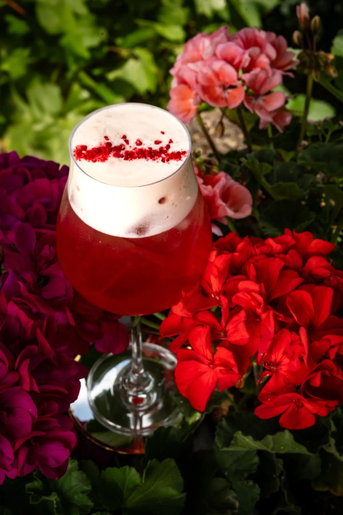 Negroni koktejl