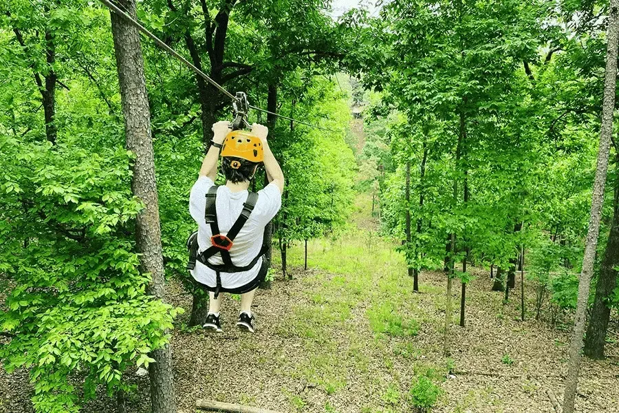 Heavenly Hollow Cabin, in The Heart Of South-East Oklahoma