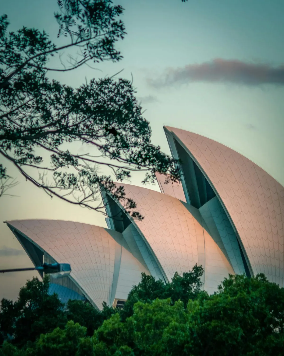 Sydney web design services