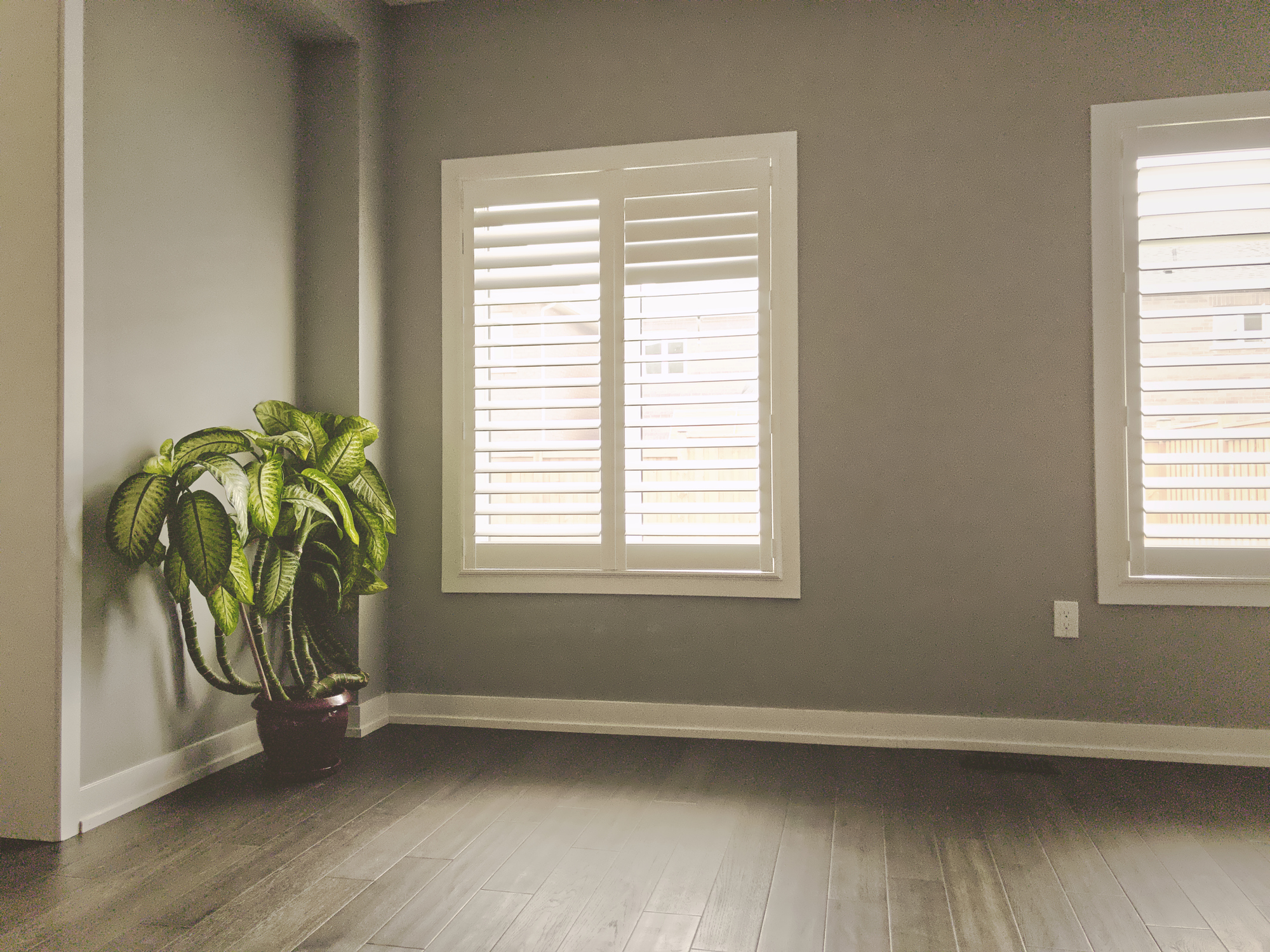 Custom plantation shutters fitted on interior home windows in Port St Lucie, FL