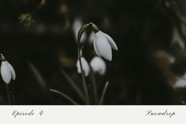 Episode 4: Snowdrop