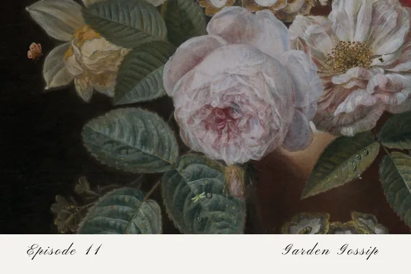 Episode 11: Garden gossip 2