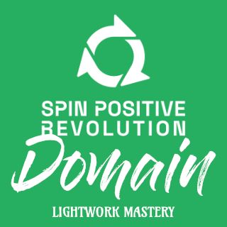 A white spin positive revolution logo on a green background. Underneath is the word Domain in larger with text followed by the words lightwork mastery.
