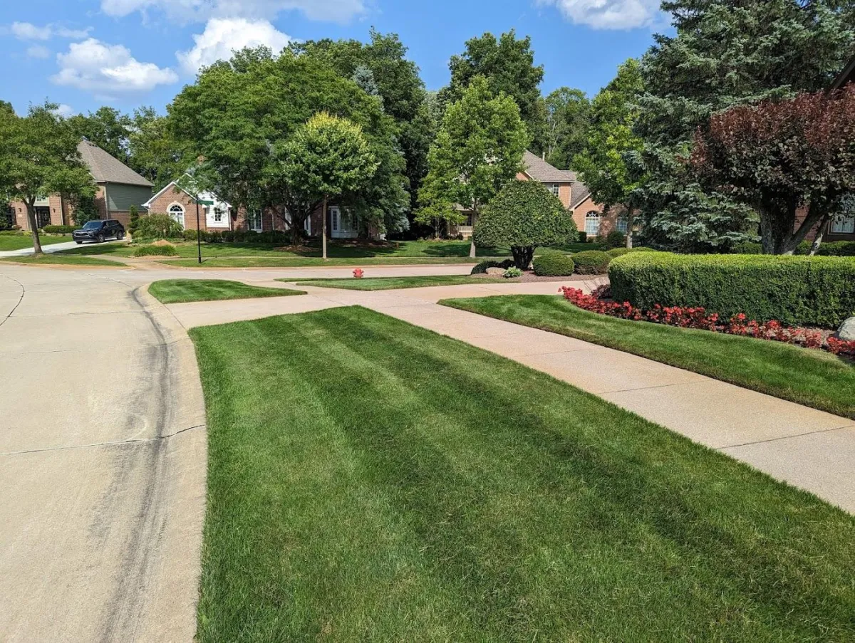 Colin's lawncare edging a lawn