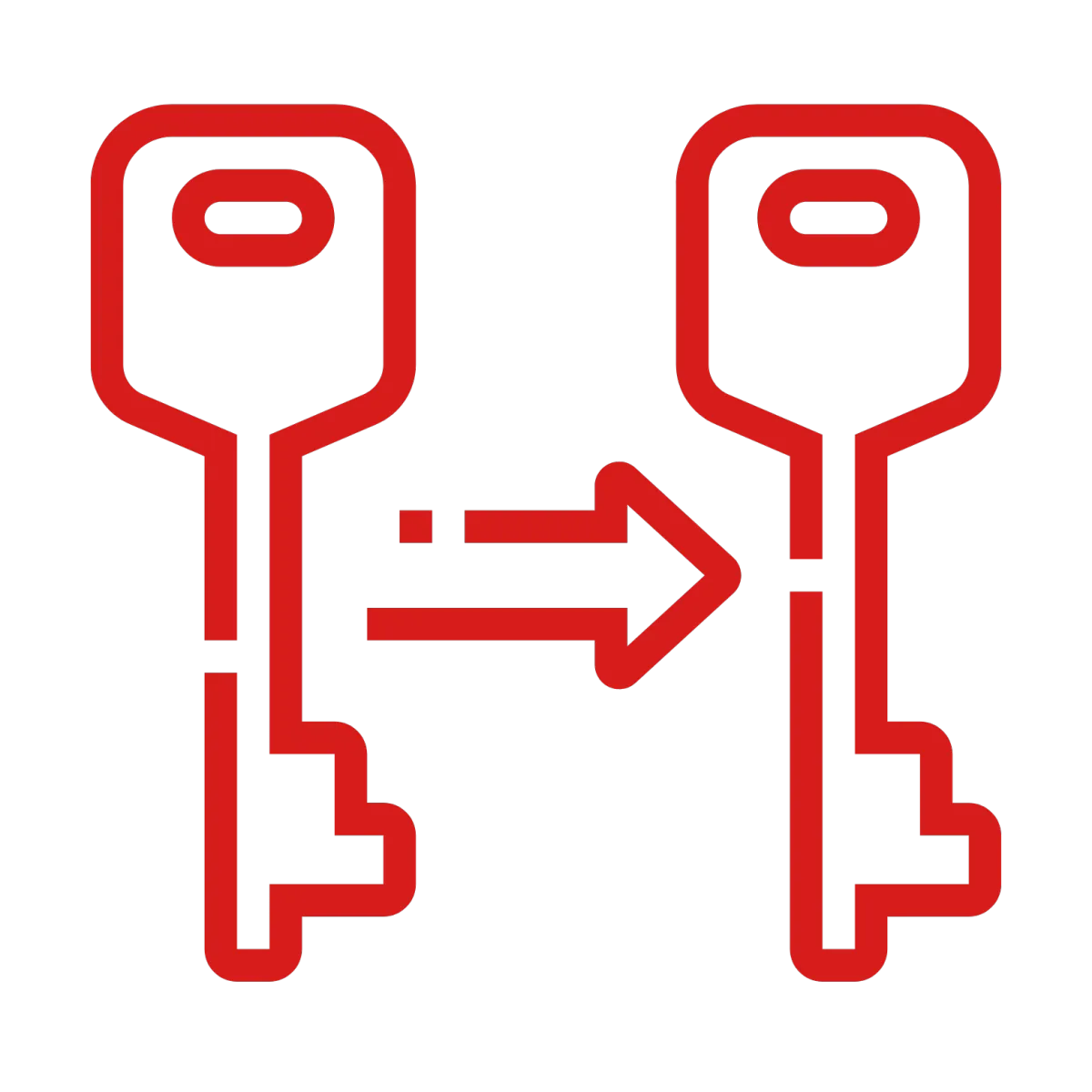 Duplicate key icon