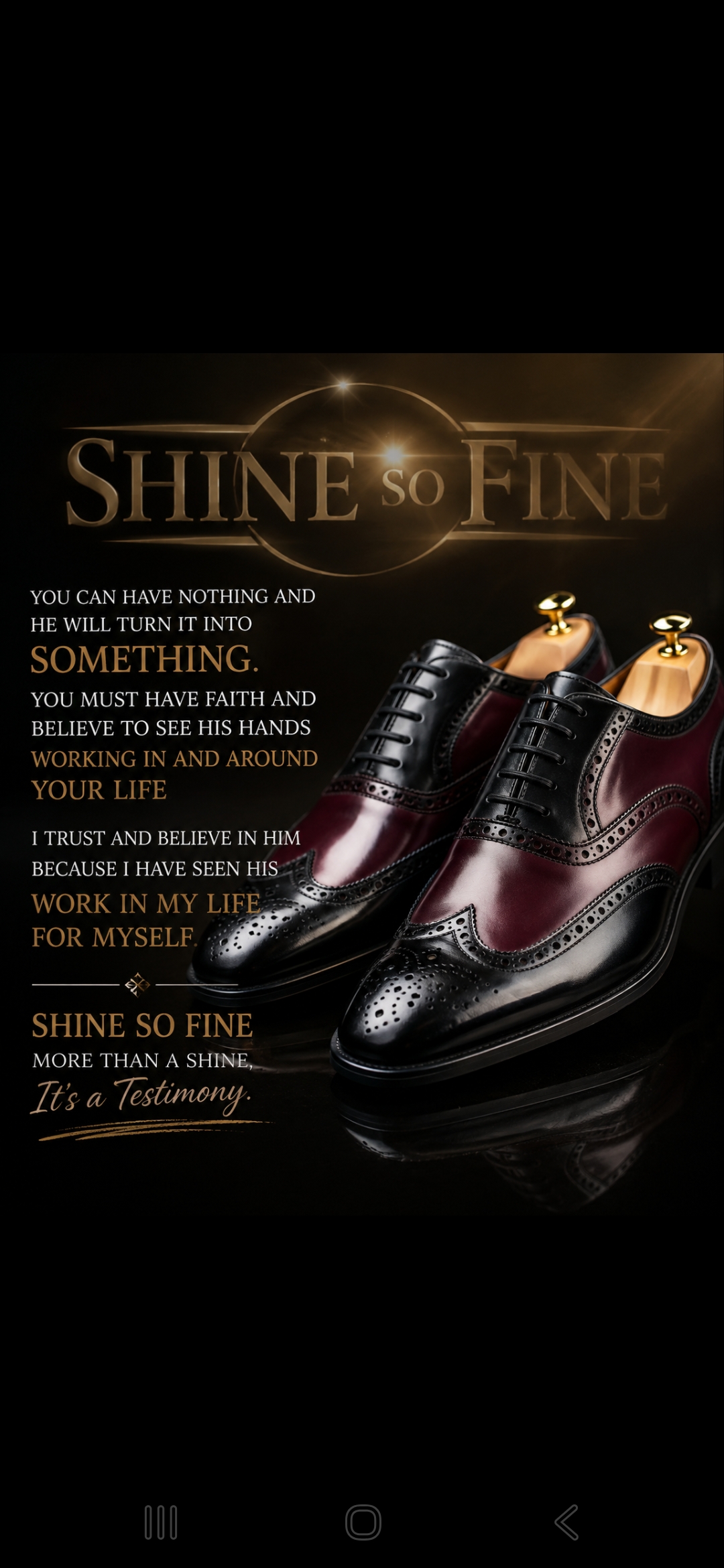pair of black leather shoes