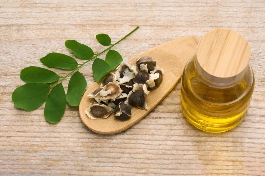 Herbal naturopathic ingredients including moringa seeds, leaves, and a jar of herbal oil.