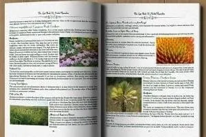 the lost book of herbal remedies canada