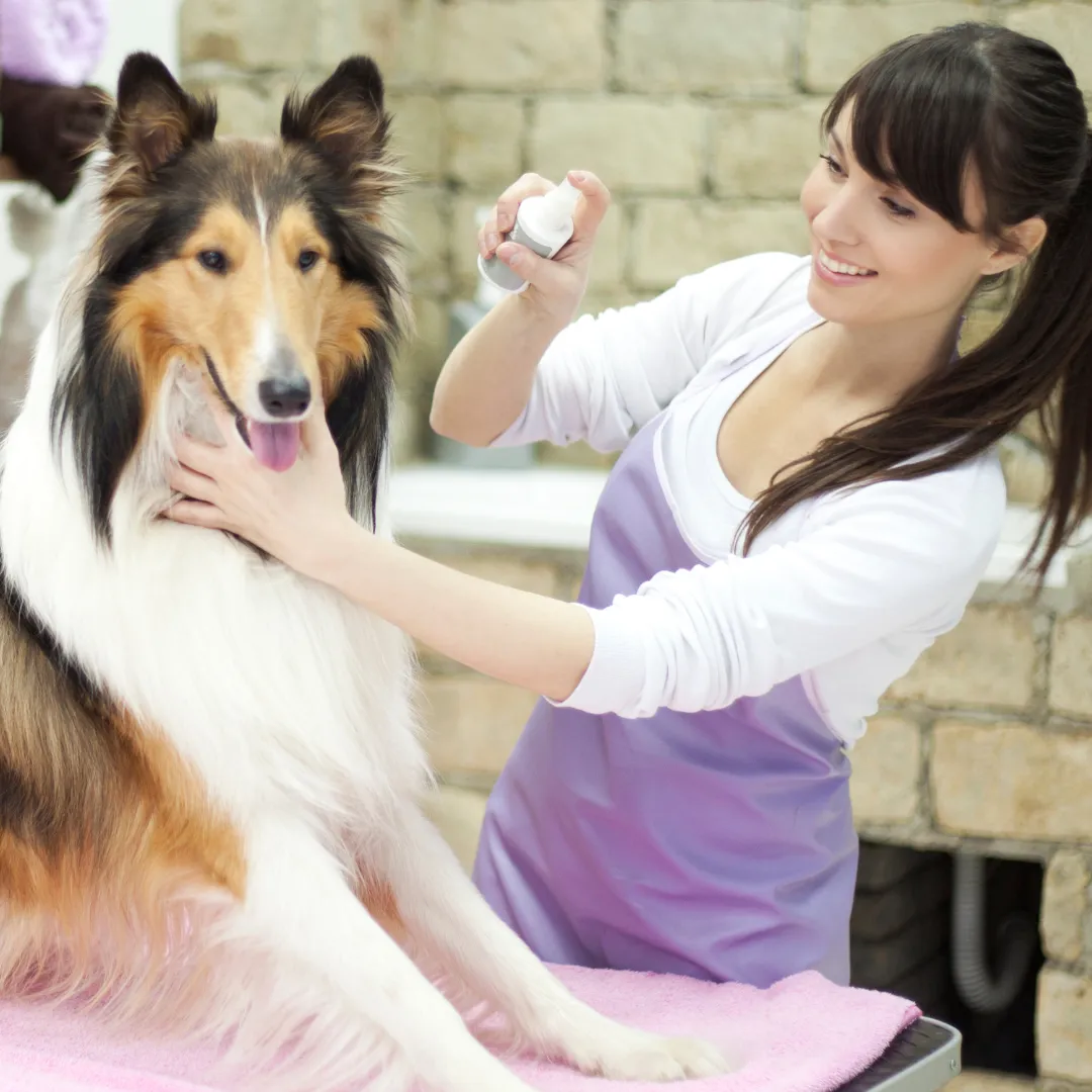 Girl getting massage at Med Spa
