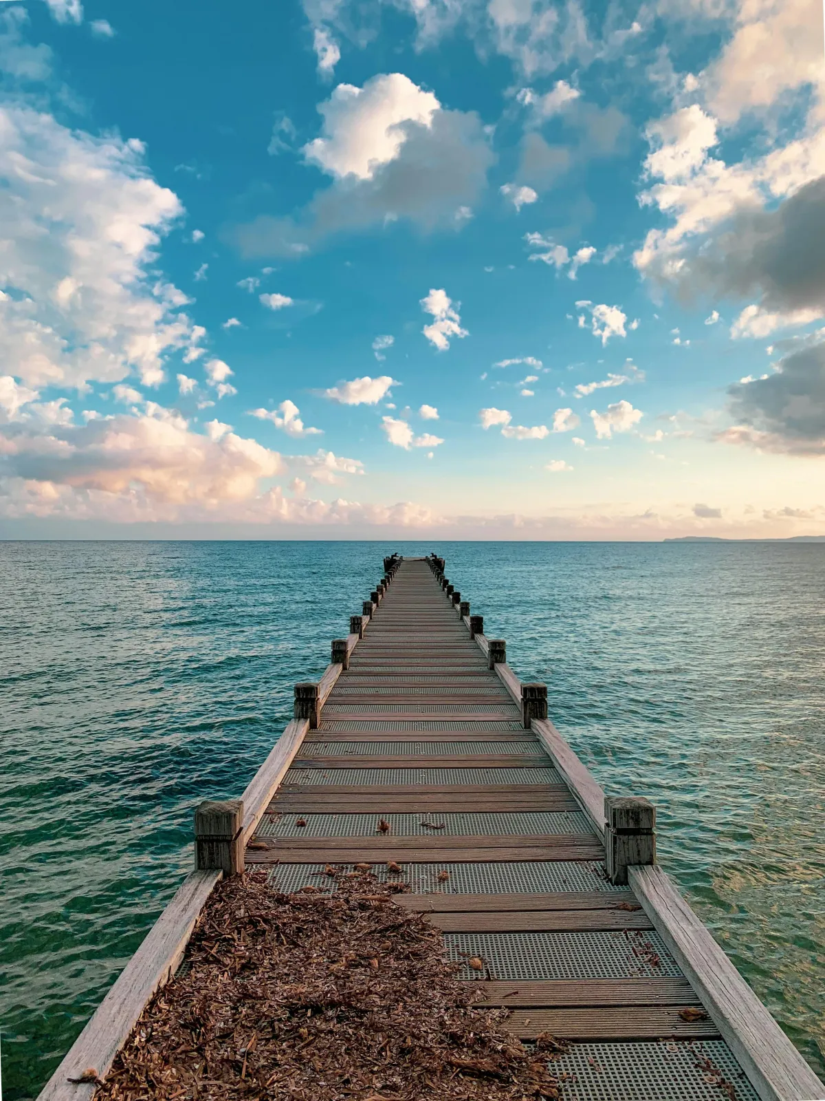 Ocean view