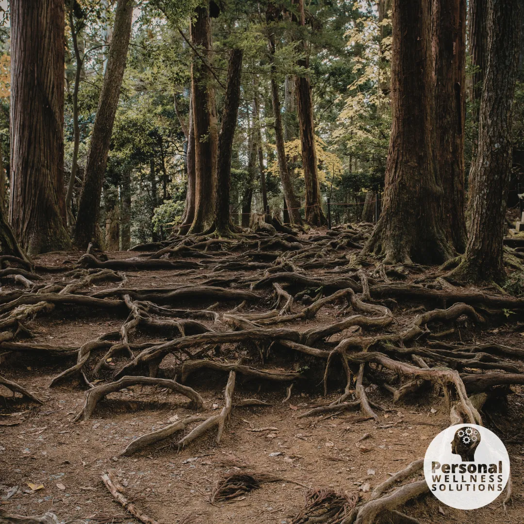 The Hidden Roots of Control