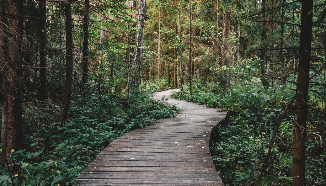 The Path Back to Your Body