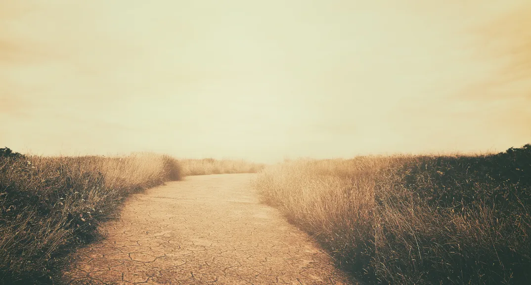 The Well-Worn Path