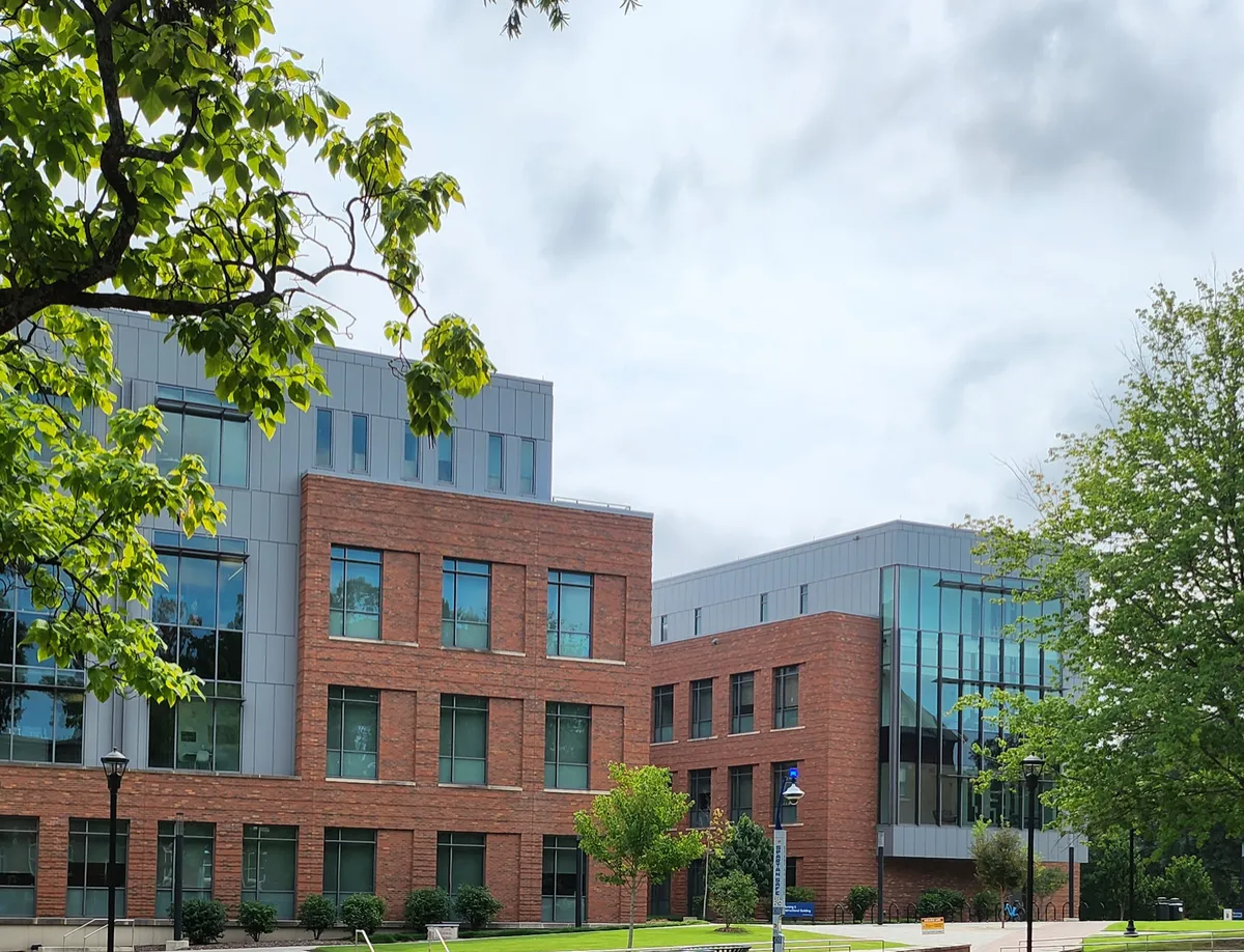 UNC Greensboro Brings the World to Your Student, and Professors Still Know Their Name