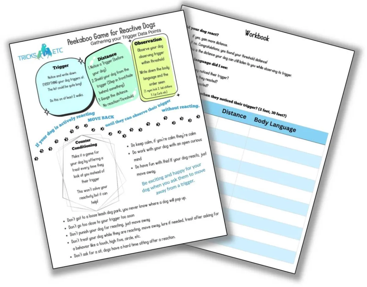 Peekaboo Game PDF Preiew