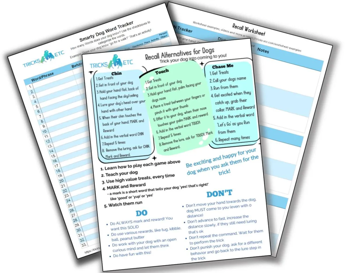 Recall Alternatives and Smarty Dog Word Tracker PDF Preview