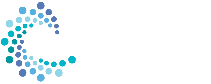 logo: Leading Teams Academy